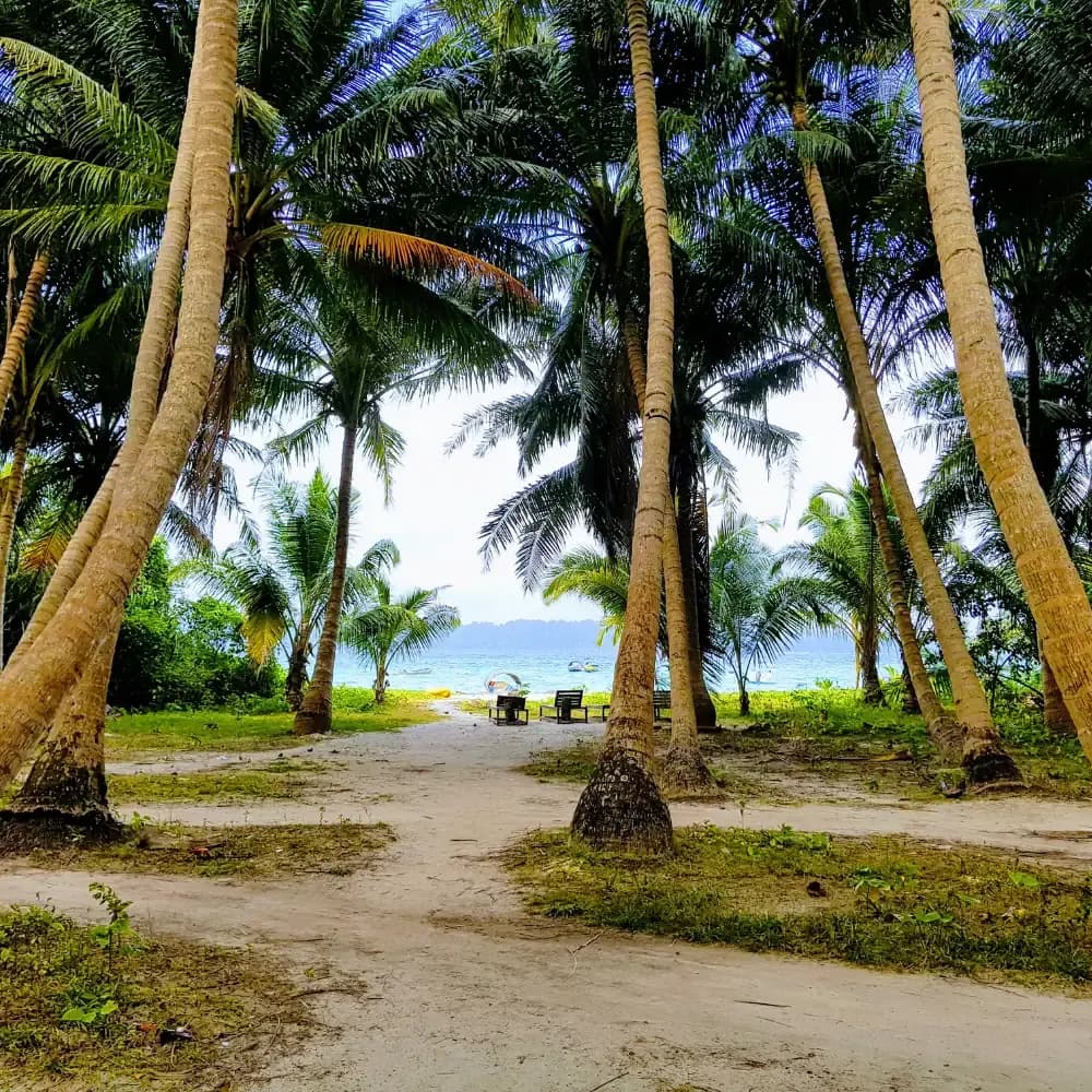 Intertidal Walk, Havelock